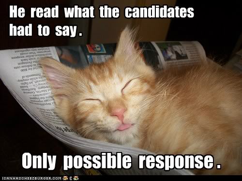 funny-pictures-lolcats-politicz-r-boring.jpg