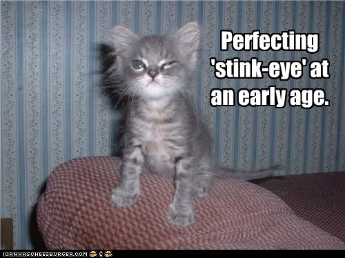funny-pictures-perfecting-stink-eye-at-an-early-age.jpg
