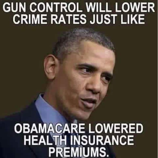 gun-control-obamacare.jpg