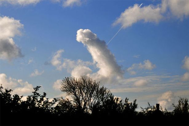 Penis-cloud.jpg