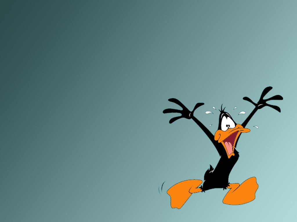 Daffy-Duck-warner-brothers-animation-71670_1024_768.jpg