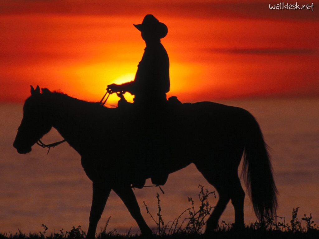 Santa-Cruz-Cowboy,-California.jpg