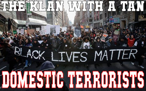 BLACK-LIVES-DOMESTIC-TERRORISTS.jpg