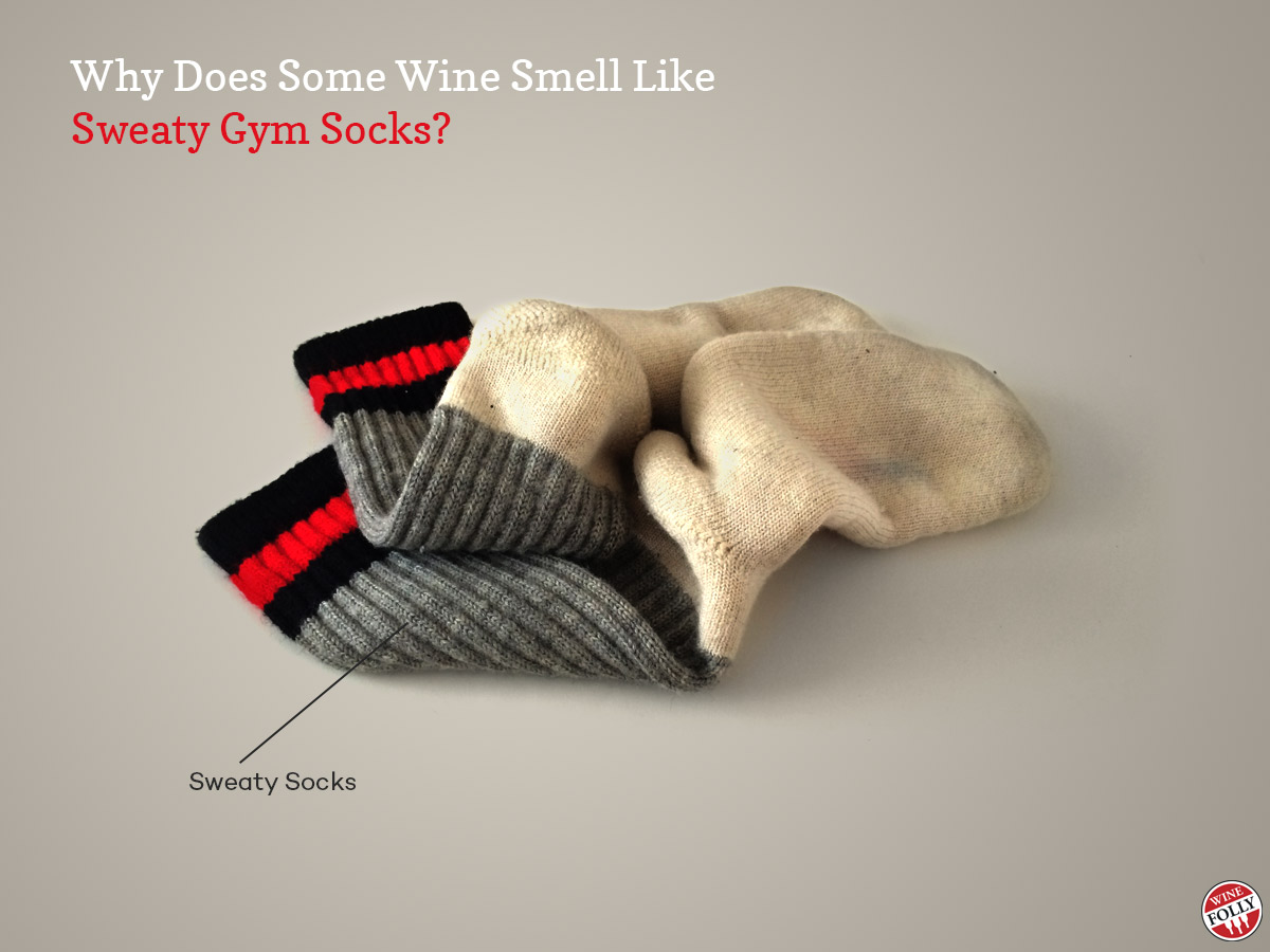 sweaty-socks-wine.jpg