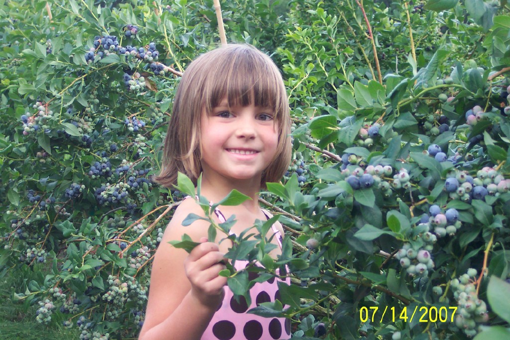 little_girl_in_blueberry_field.jpg