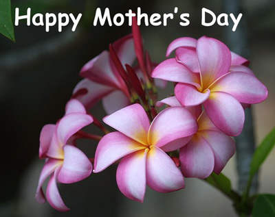 mothers_day_021.jpg