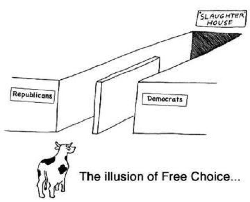 The%20Illusion%20of%20Free%20Choice%20democrats%20republicans.jpg