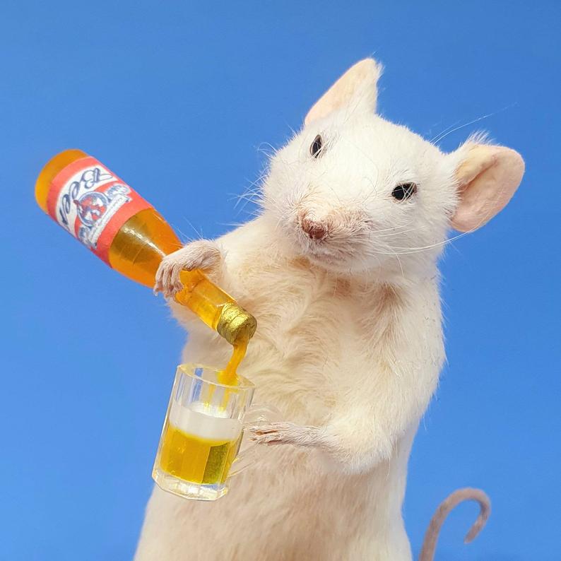 Taxidermy Mouse with BEER  oddities curio curiosities image 0