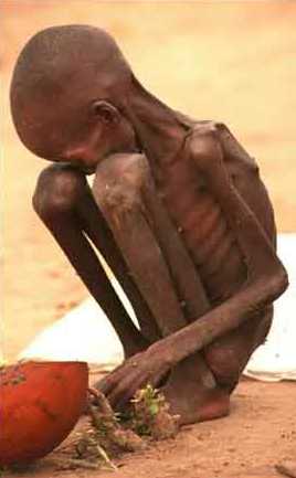 starving-child-sudan.jpg