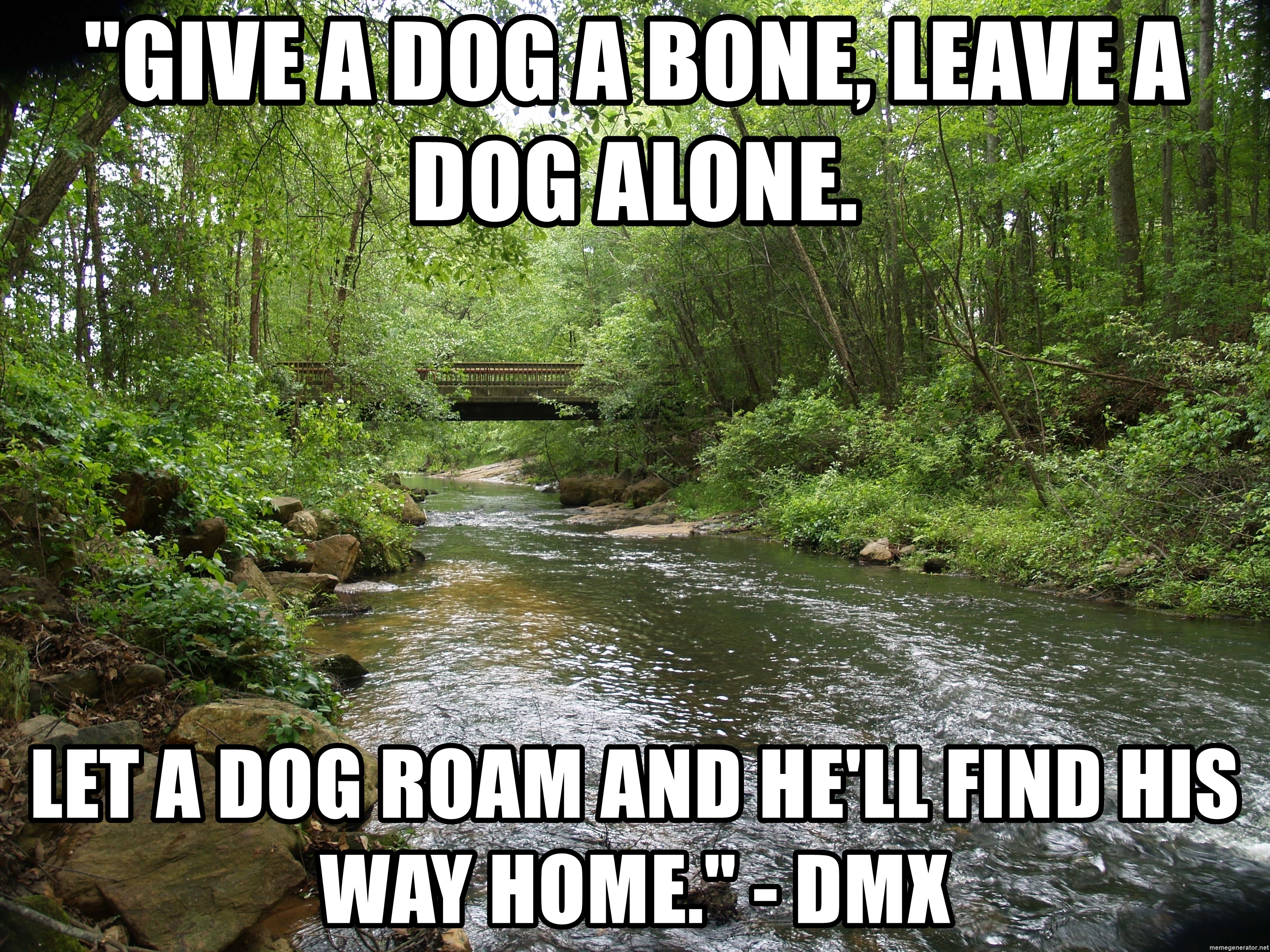 give-a-dog-a-bone-leave-a-dog-alone-let-a-dog-roam-and-hell-find-his-way-home-dmx.jpg