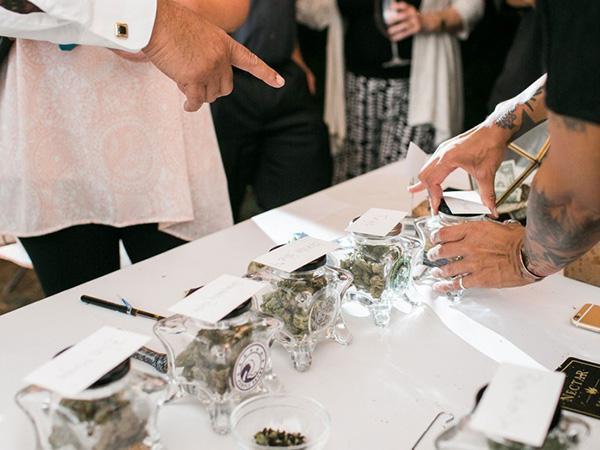 an-open-weed-bar-at-a-wedding-sounds-like-a-great-time-6-photos-5.jpg