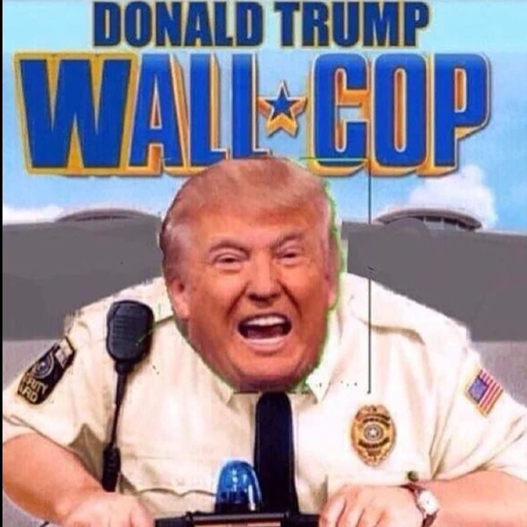 Donald-Trump-Wall-Cop-Funny-Donald-Trump-Meme-Image.jpg