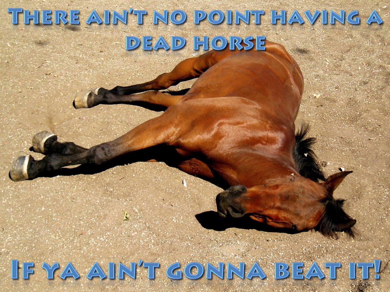 001 - Beating a Dead Horse.jpeg