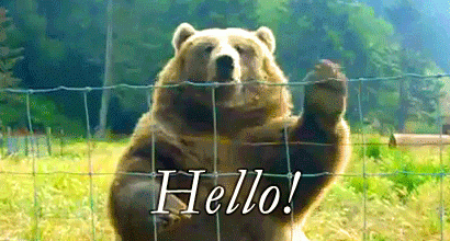 03f538aef0cf2261c6e692081ebeed3b04c4994f.gif