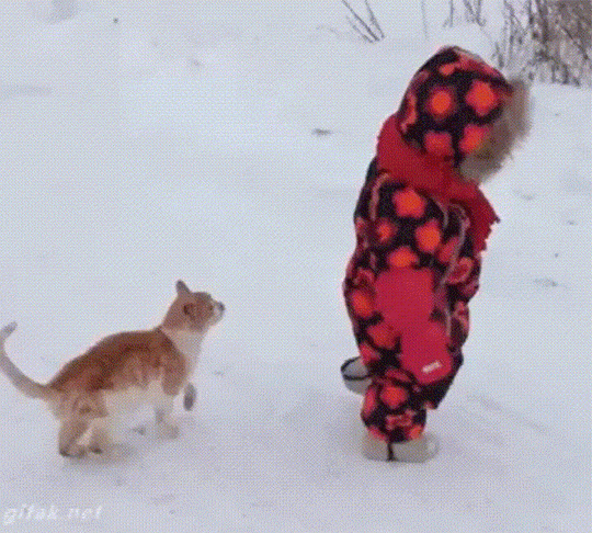 05-epmwkzr.gif