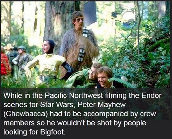 07-movie_facts.jpg