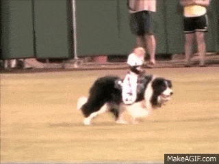 0afJsq.gif