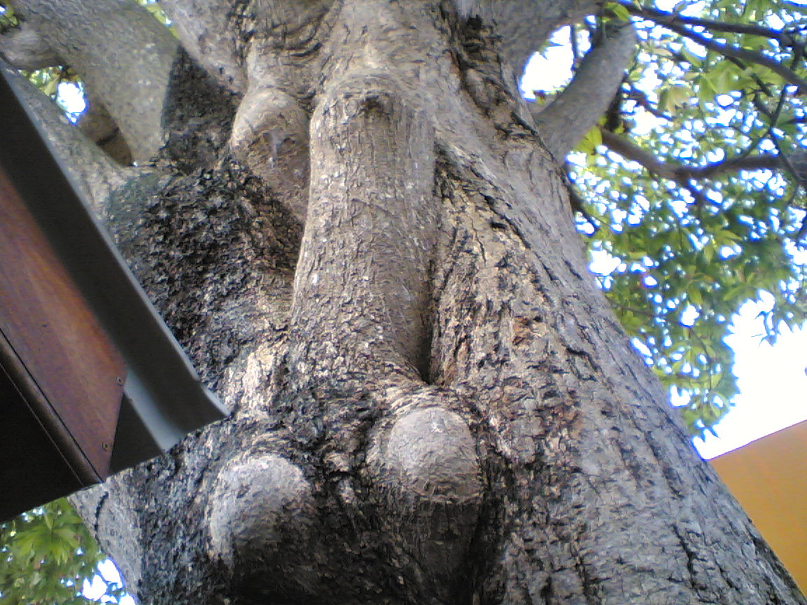 0D14CBD5-81BD-4C52-B1C6-6307CCA1C2E5.jpeg