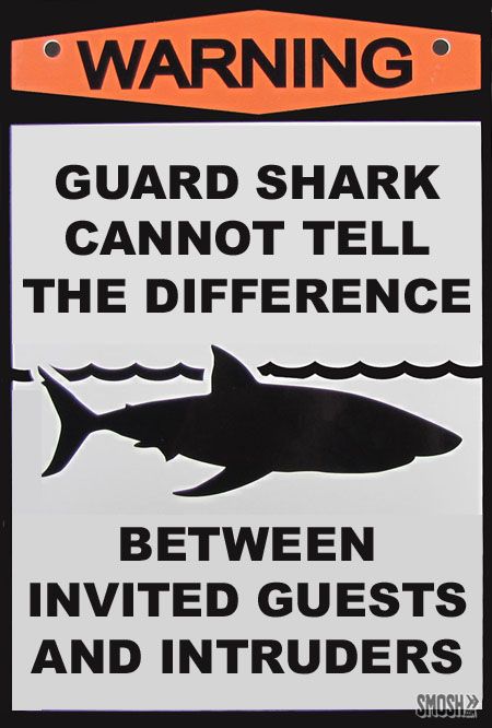 0d2449fa9bc379f3a715fdb3337b0b62--pool-signs-smosh.jpg