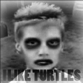 1 - I like turtles.jpg