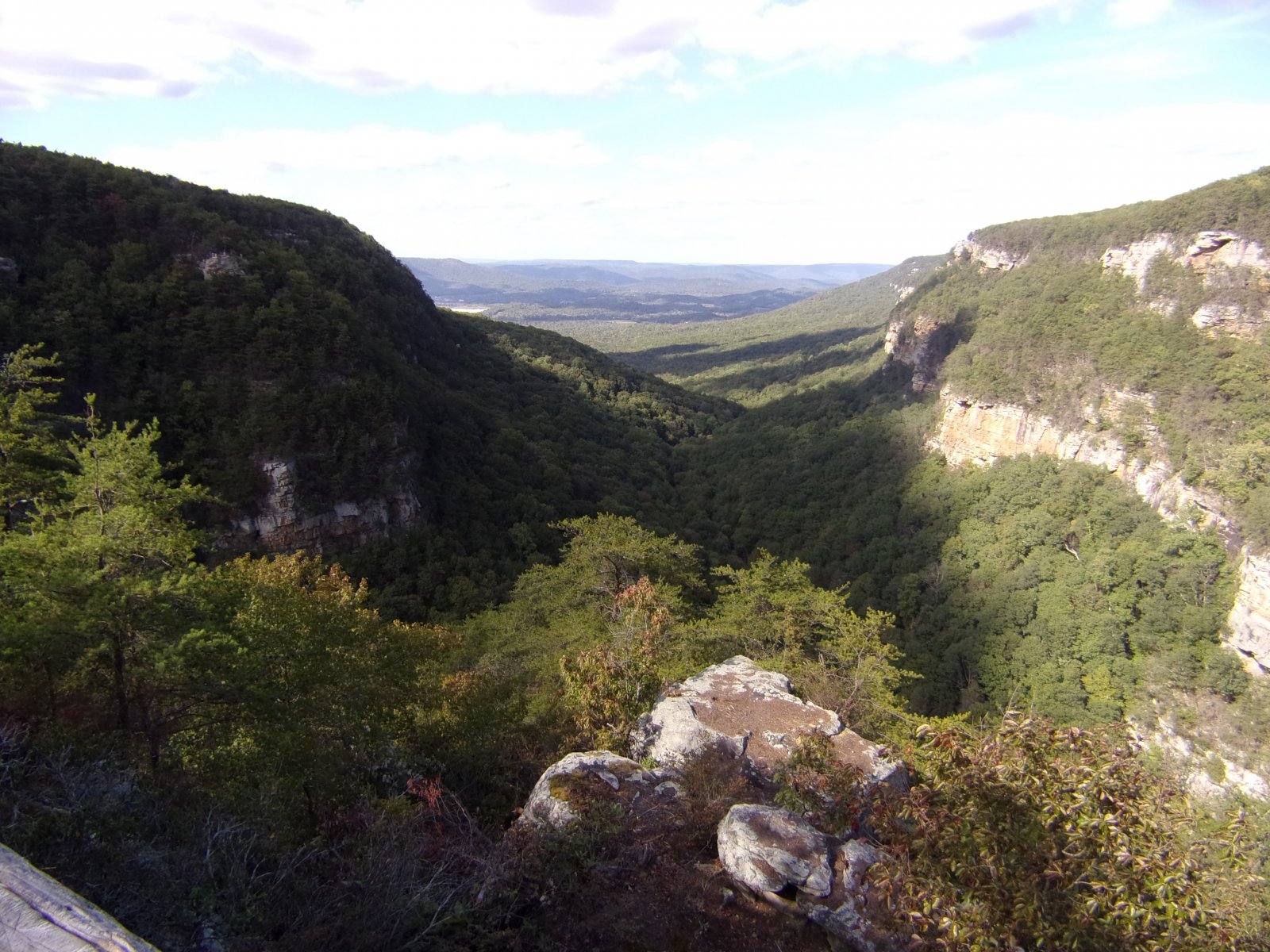 100_0063.JPG