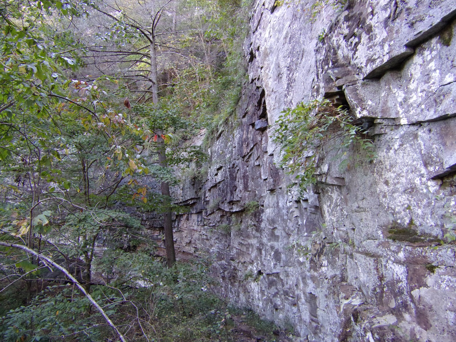 100_0091.JPG