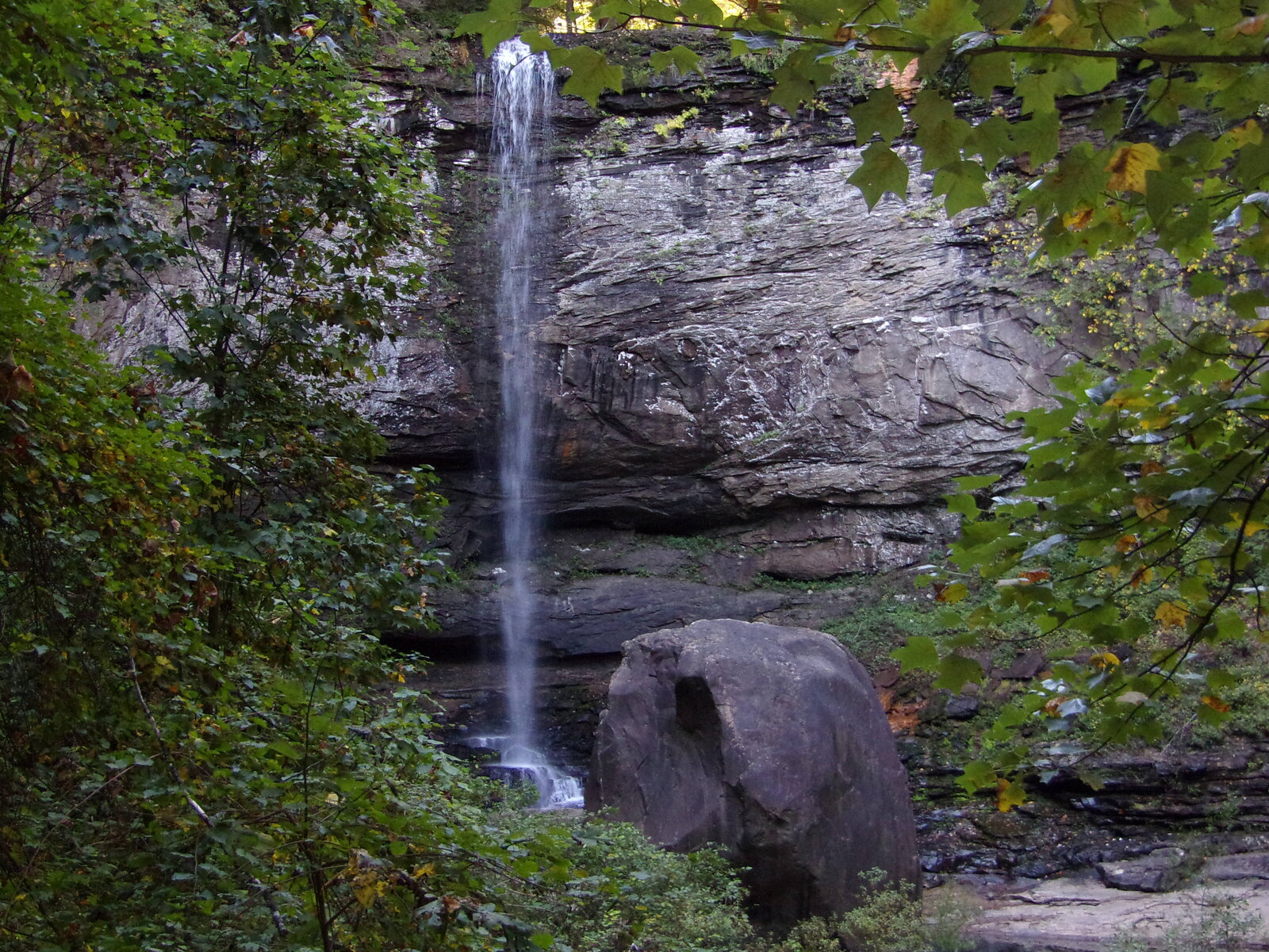 100_0096.JPG