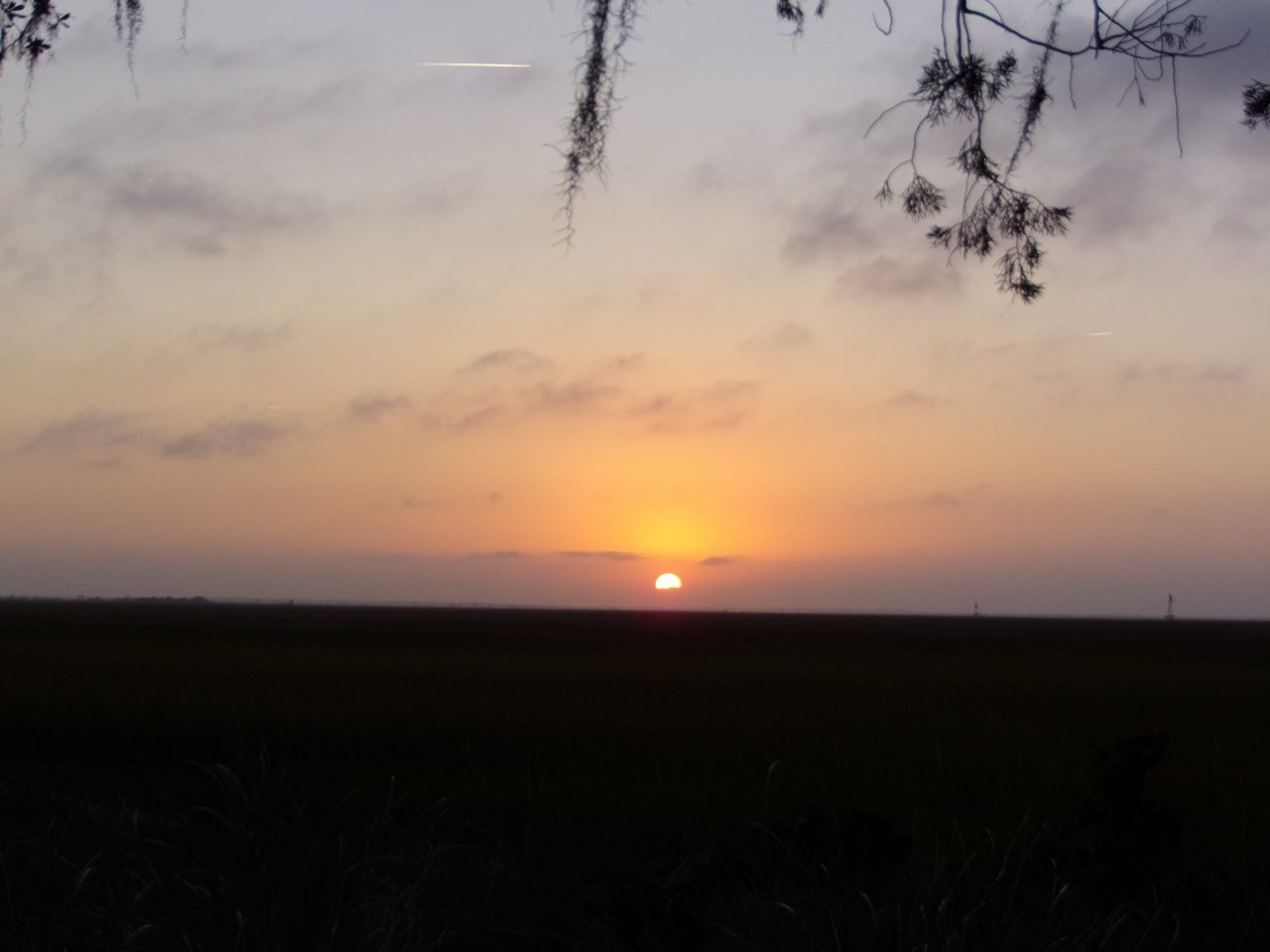 100_0412.JPG