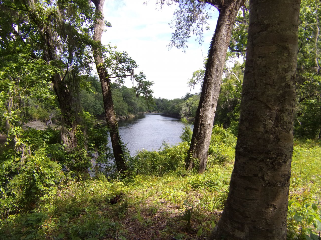 100_0723.JPG