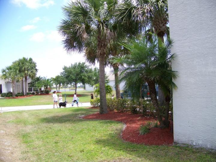 100_9341.jpg