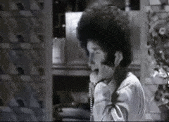 10774005.gif