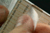 10di8ep.gif