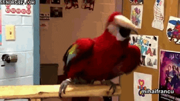 10v0l8aVLyLJ5e.gif
