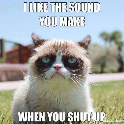 11-9-13-caturday-hilarious-funny-cat-photos2.jpg.pagespeed.ce.-gIz4jDNhLjiViVeDVWc.jpg
