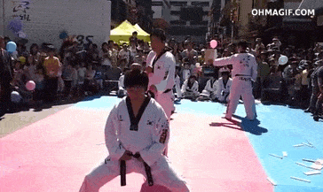 11.gif
