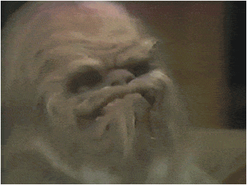 11.gif