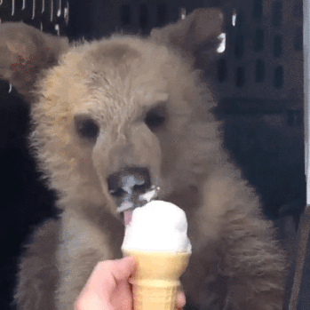 110BEE72-383B-40EC-B28E-9EDDFF06267F.gif