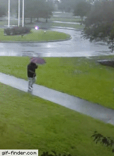 125D0A81-8879-46F7-9261-AE3A9DD292F4.gif