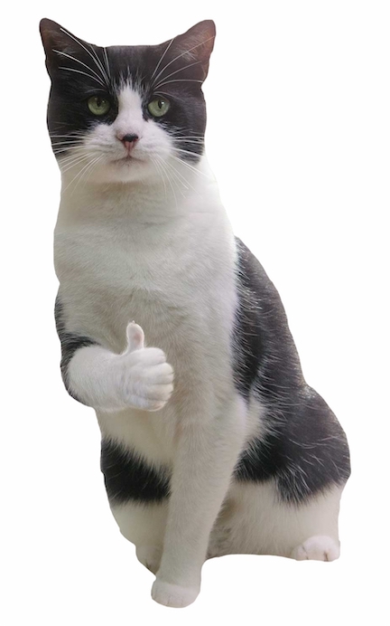 128-1288583_a-giving-an-encouraging-thumbs-up-cutouts-thumbs.jpg