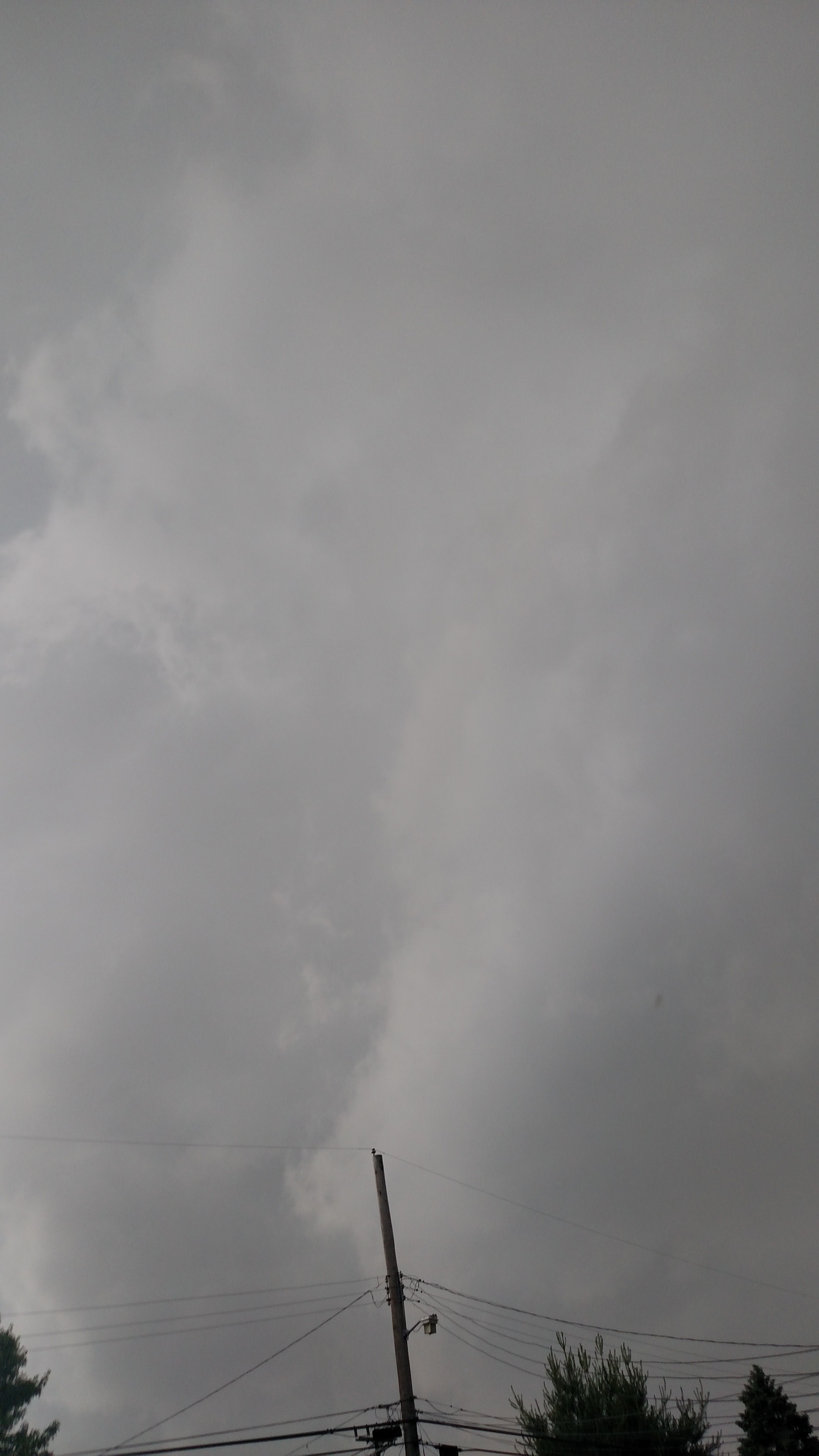 1433113499822-1368134718.jpg