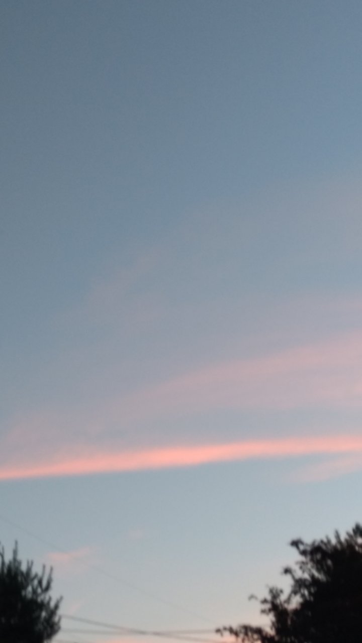 1498352586318828696564.jpg