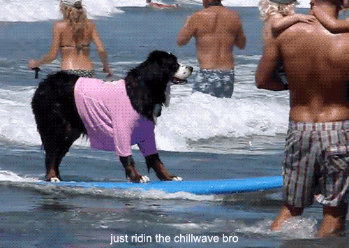 1504EF1F-4C98-4D52-98BE-23E5F60E14EC.gif