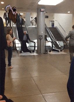 1548086092206.gif