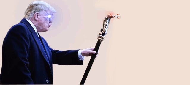1572296971218.gif