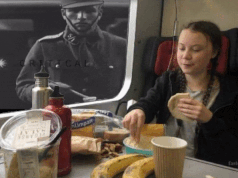 1574543981669.gif