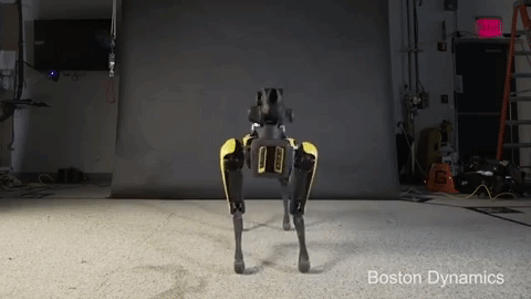 1595855463262.gif