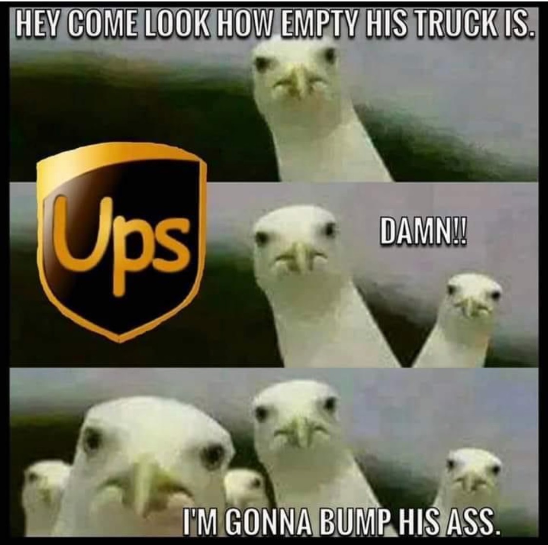 1598302637526.jpeg