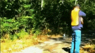 16-spari57.gif