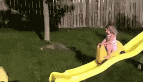 1605663189400.gif