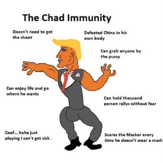 1606394408670.png